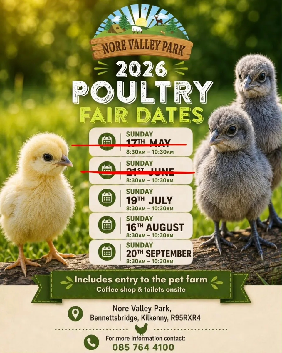 Poultry Fair Kilkenny - Image 2
