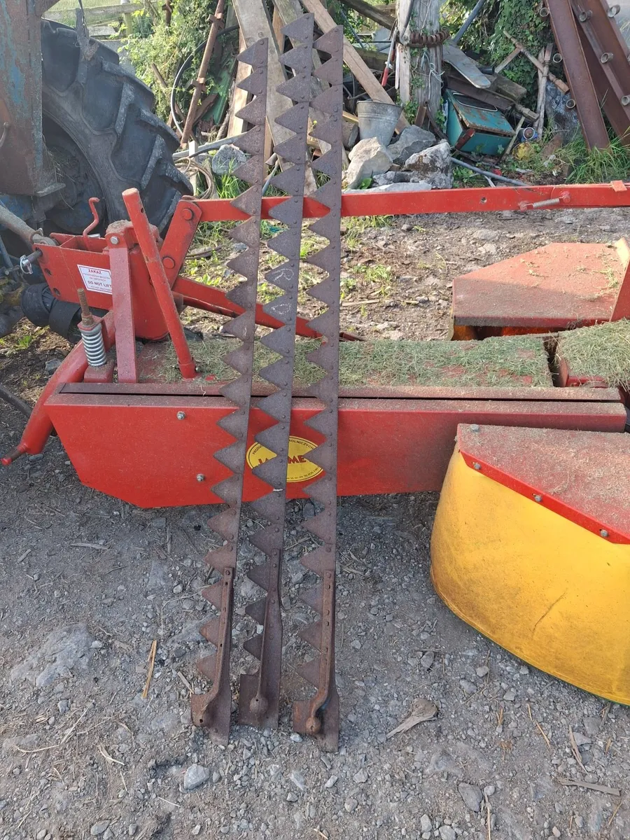 Blades for Ferguson Mower - Image 2
