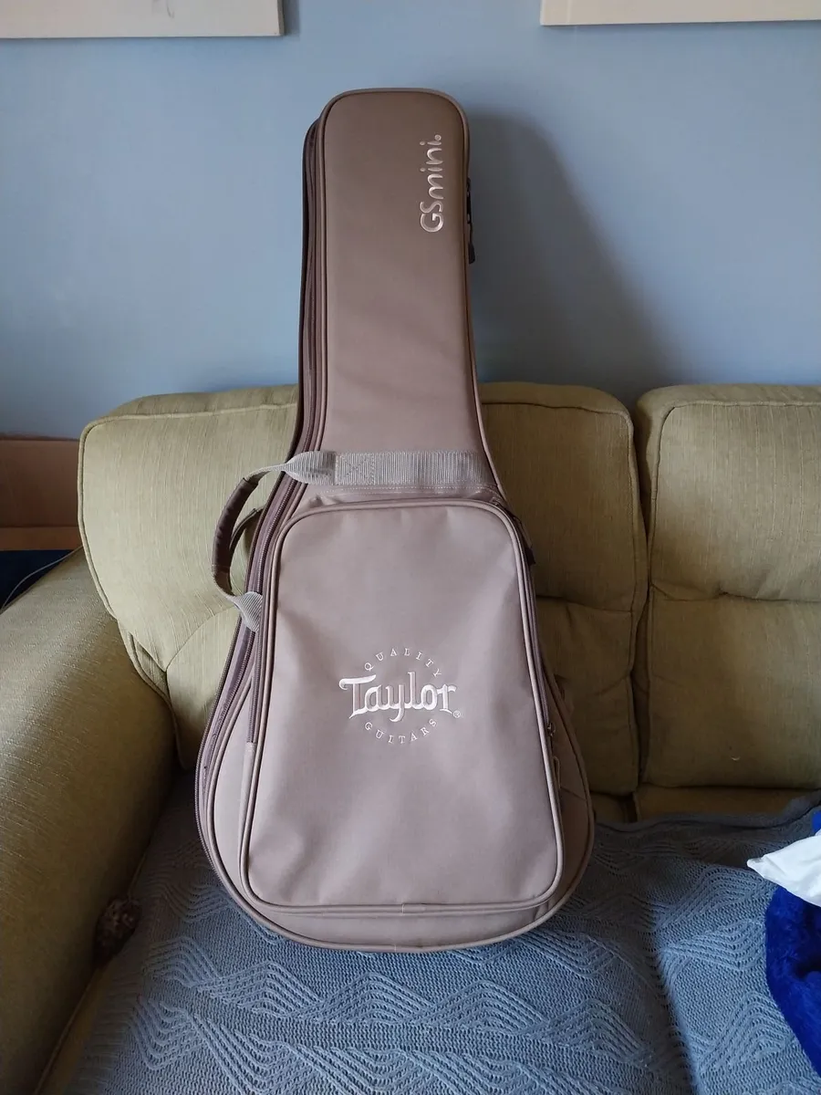 Acoustic guitar - Image 2
