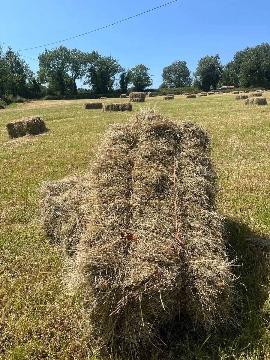 Organic square bales of Hay - Image 3