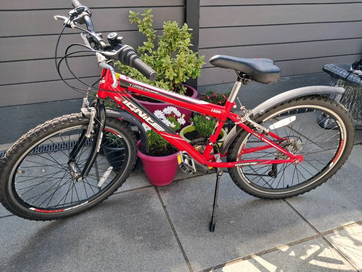 Bicycle - Image 2
