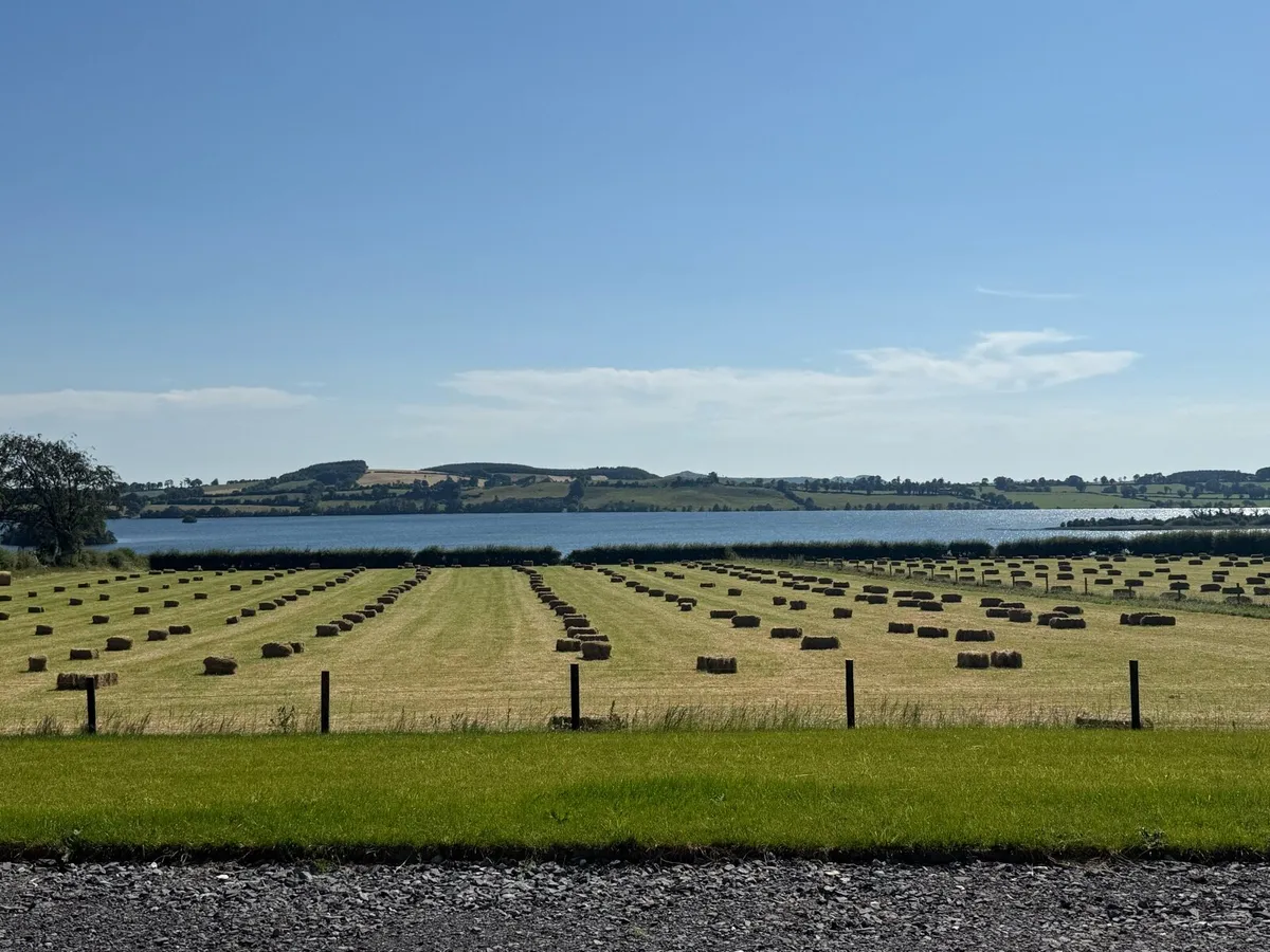 Square bales of hay - Image 1