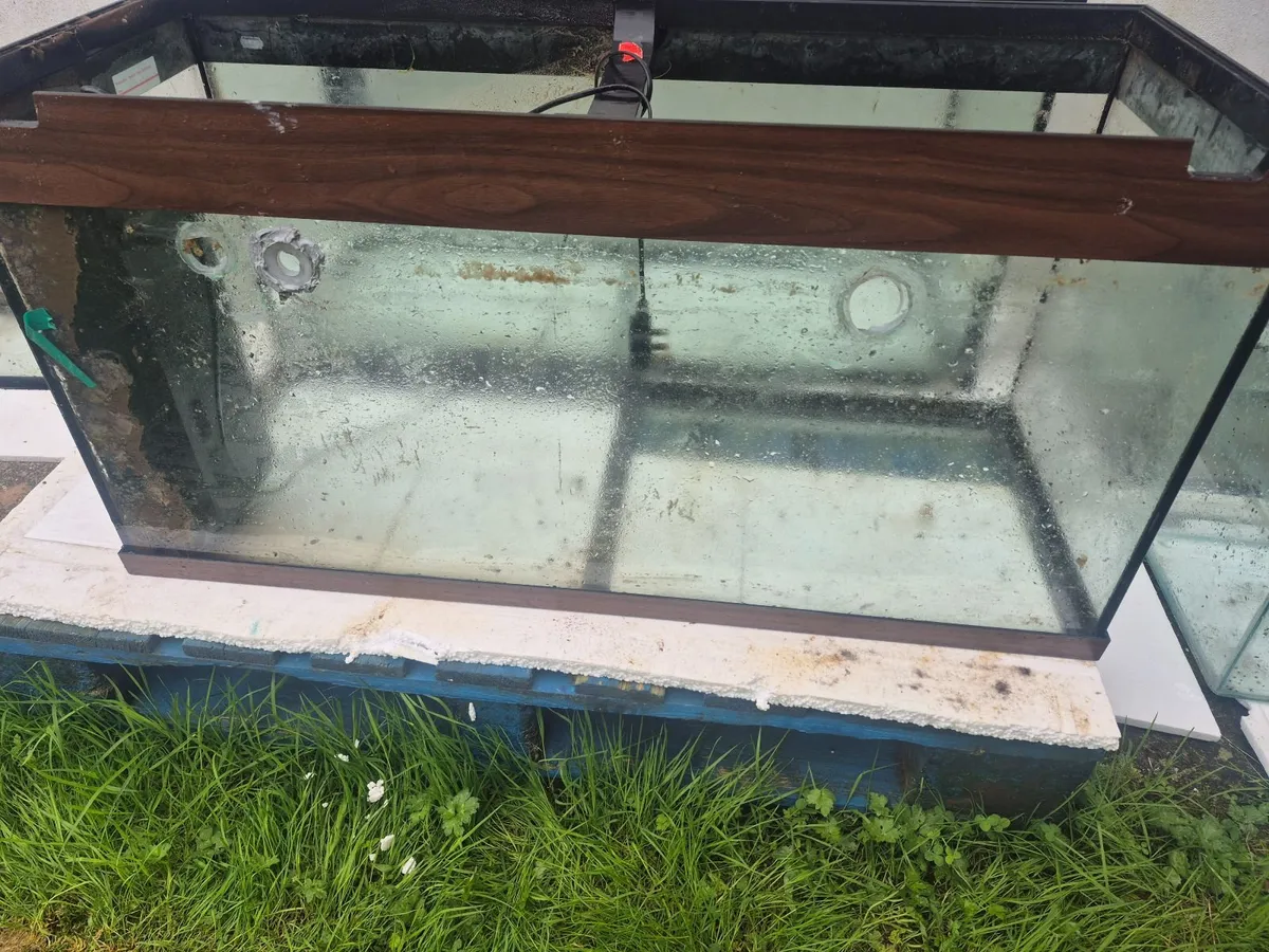 Aquariums for sale - Image 1