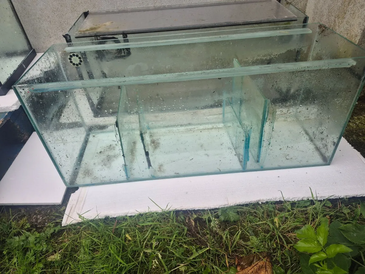 Aquariums for sale - Image 2