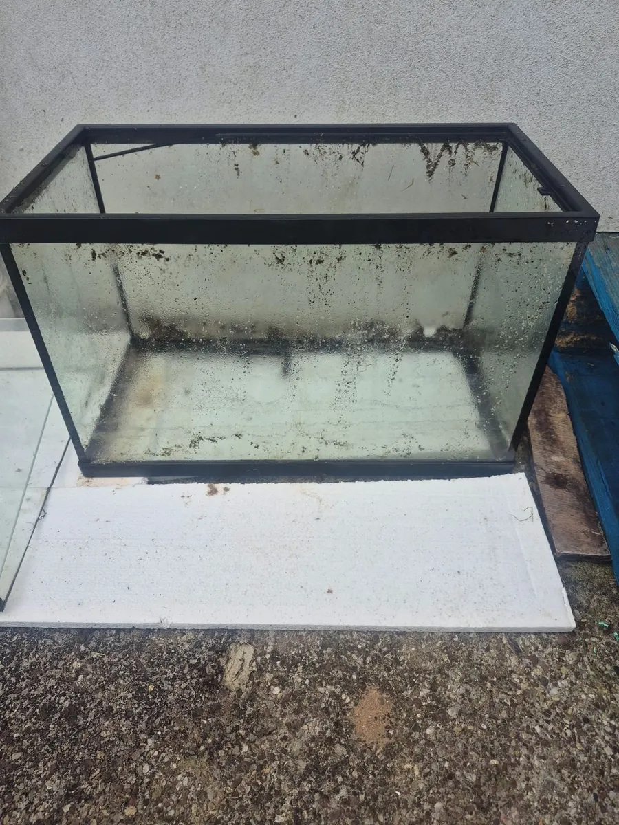 Aquariums for sale - Image 4