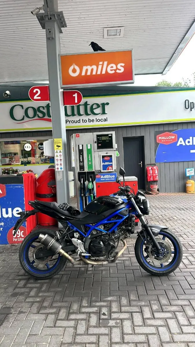 Suzuki sv650 - Image 3