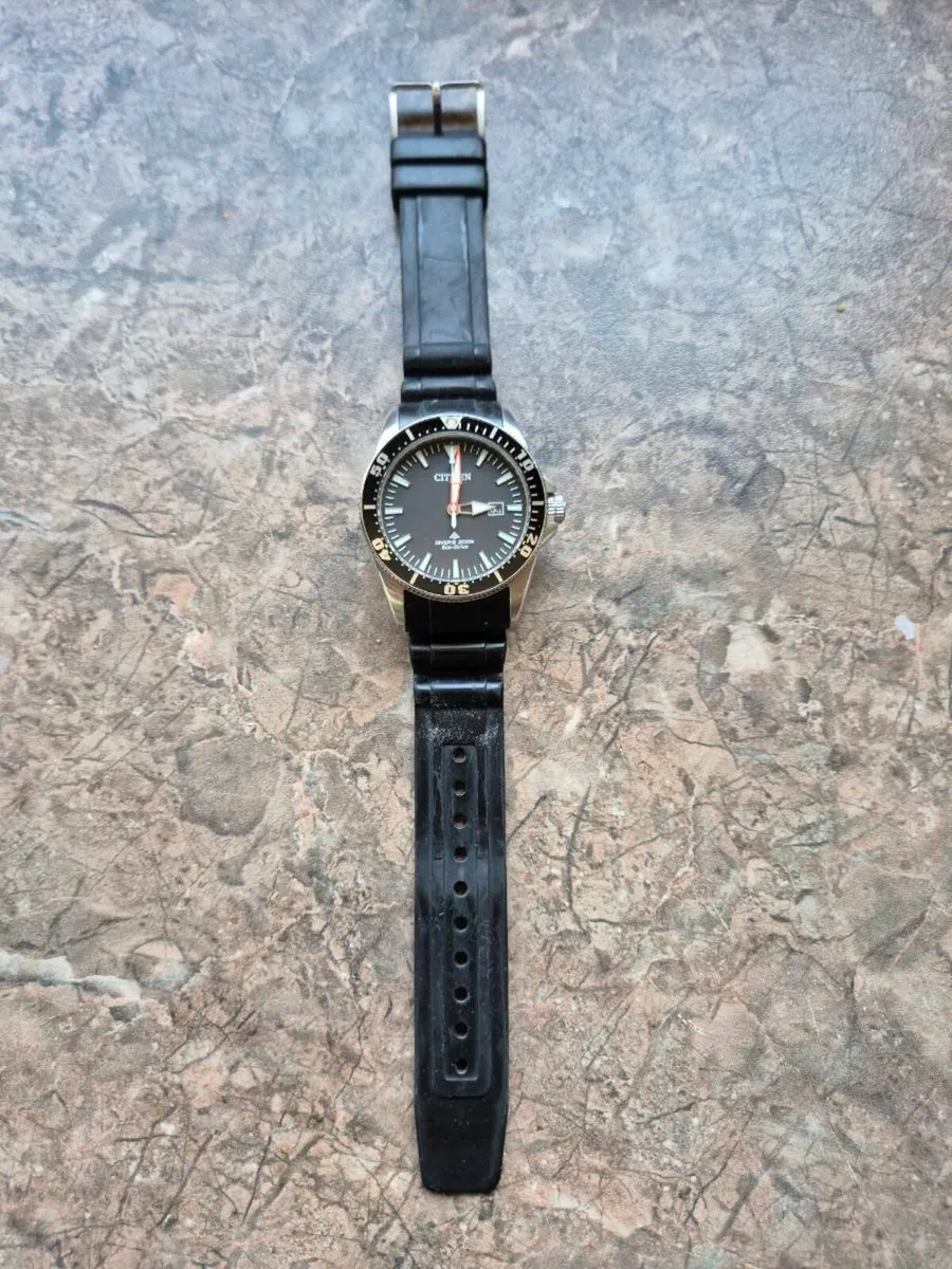 Citizen Promaster dive watch - Image 1