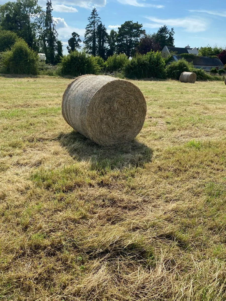 Round/Square bales of hay - Image 1
