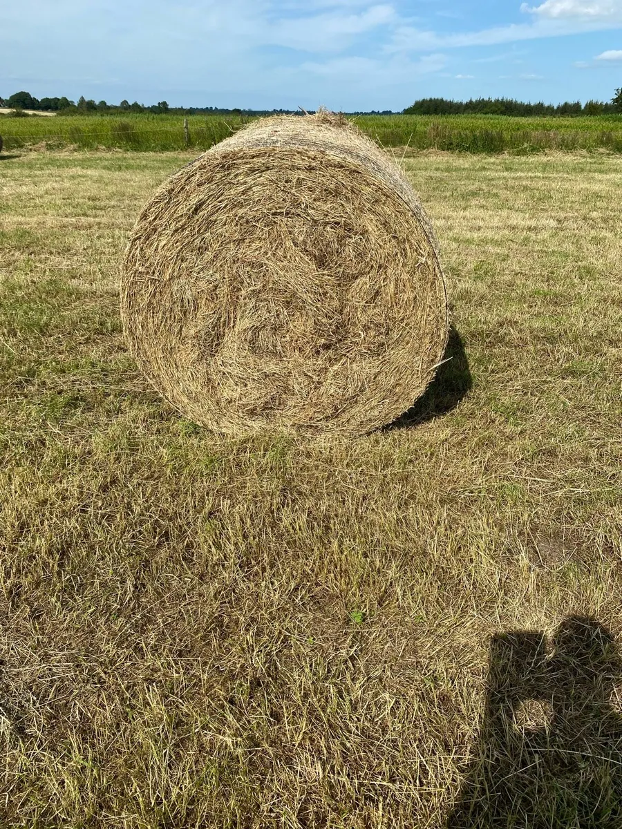 Round/Square bales of hay - Image 2