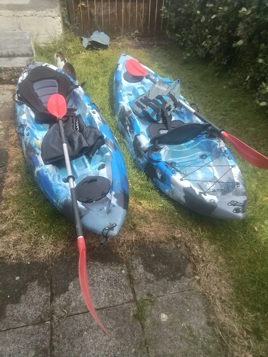 Kayaks - Image 3