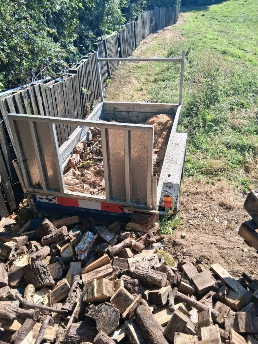 Car trailer - Image 4