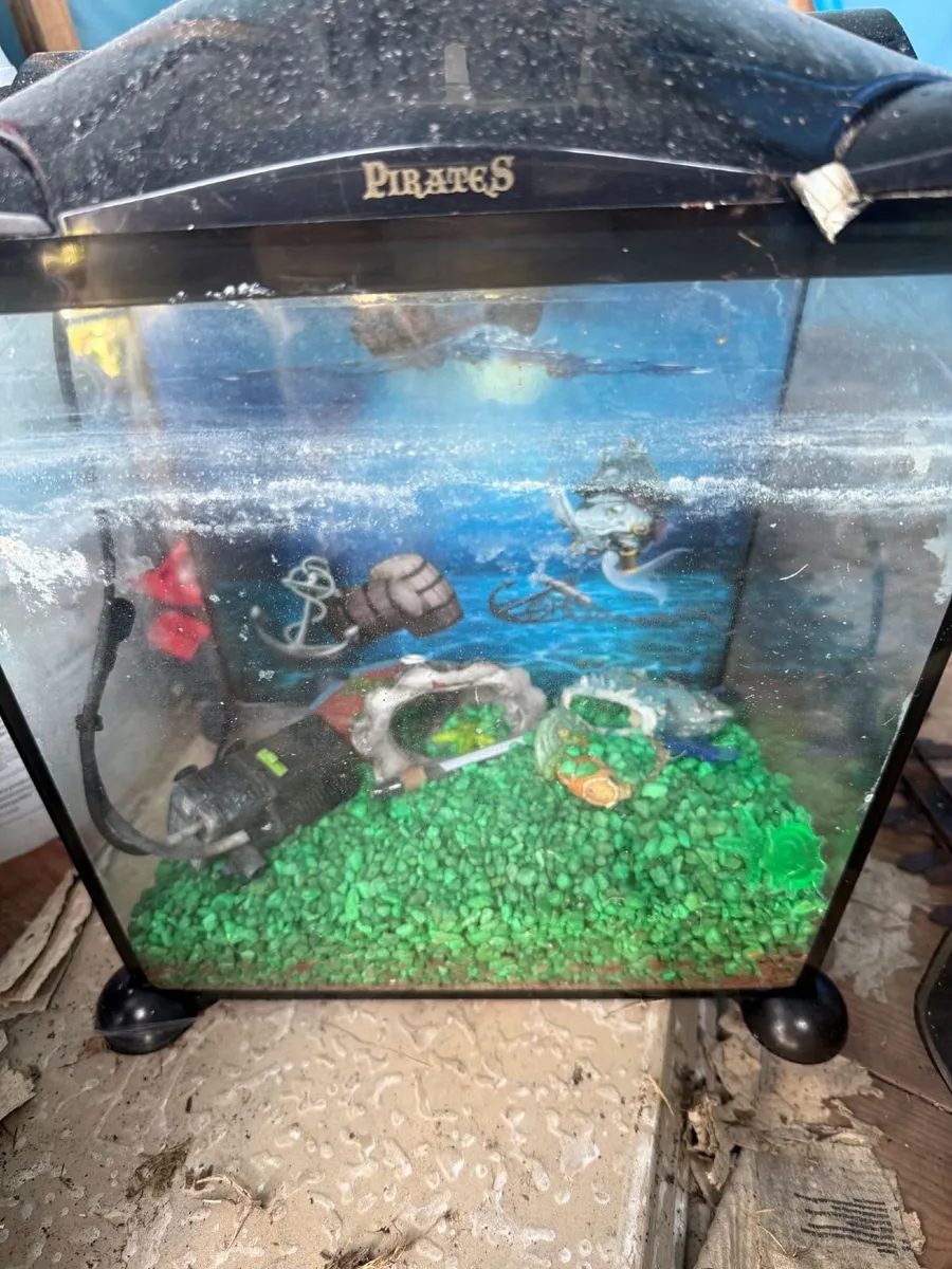Fish Tank & Reptile tank - Image 2
