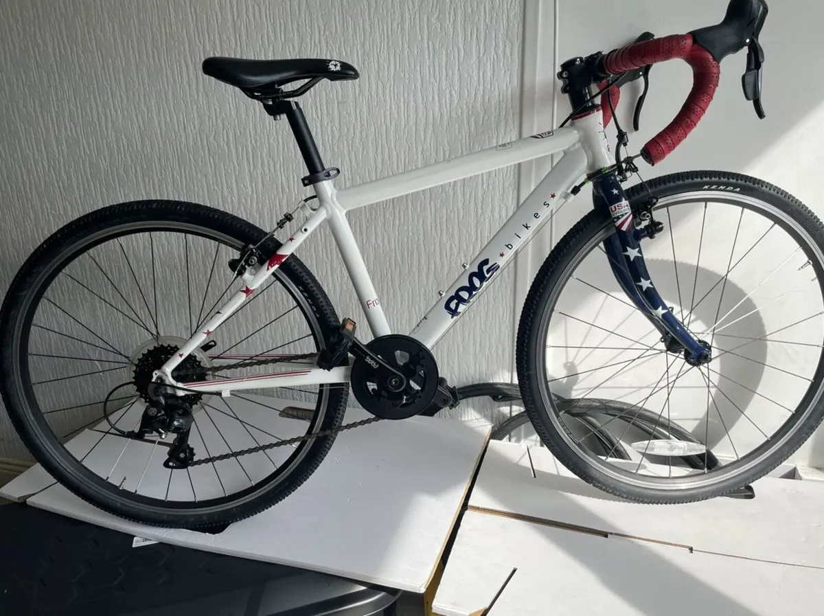 Frog Road 67 (24 inch wheel) stars & stripes ed. - Image 1