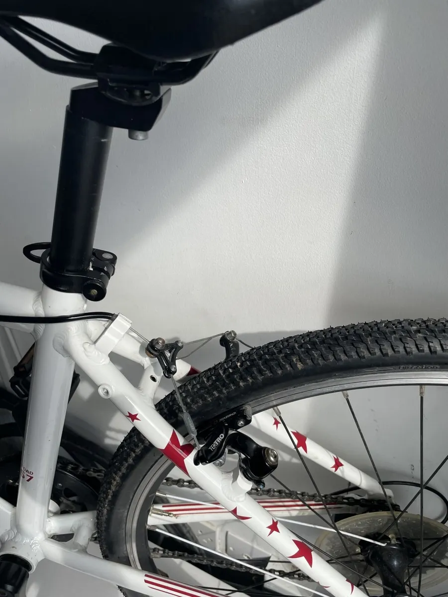 Frog Road 67 (24 inch wheel) stars & stripes ed. - Image 4