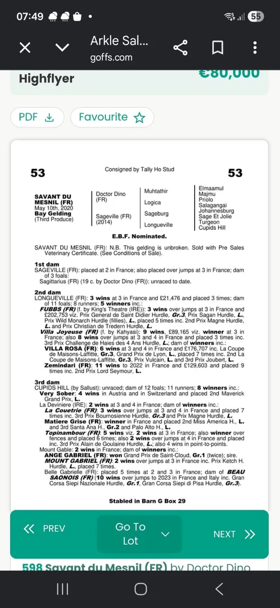 2 two year olds by jeu st eloi - Image 3
