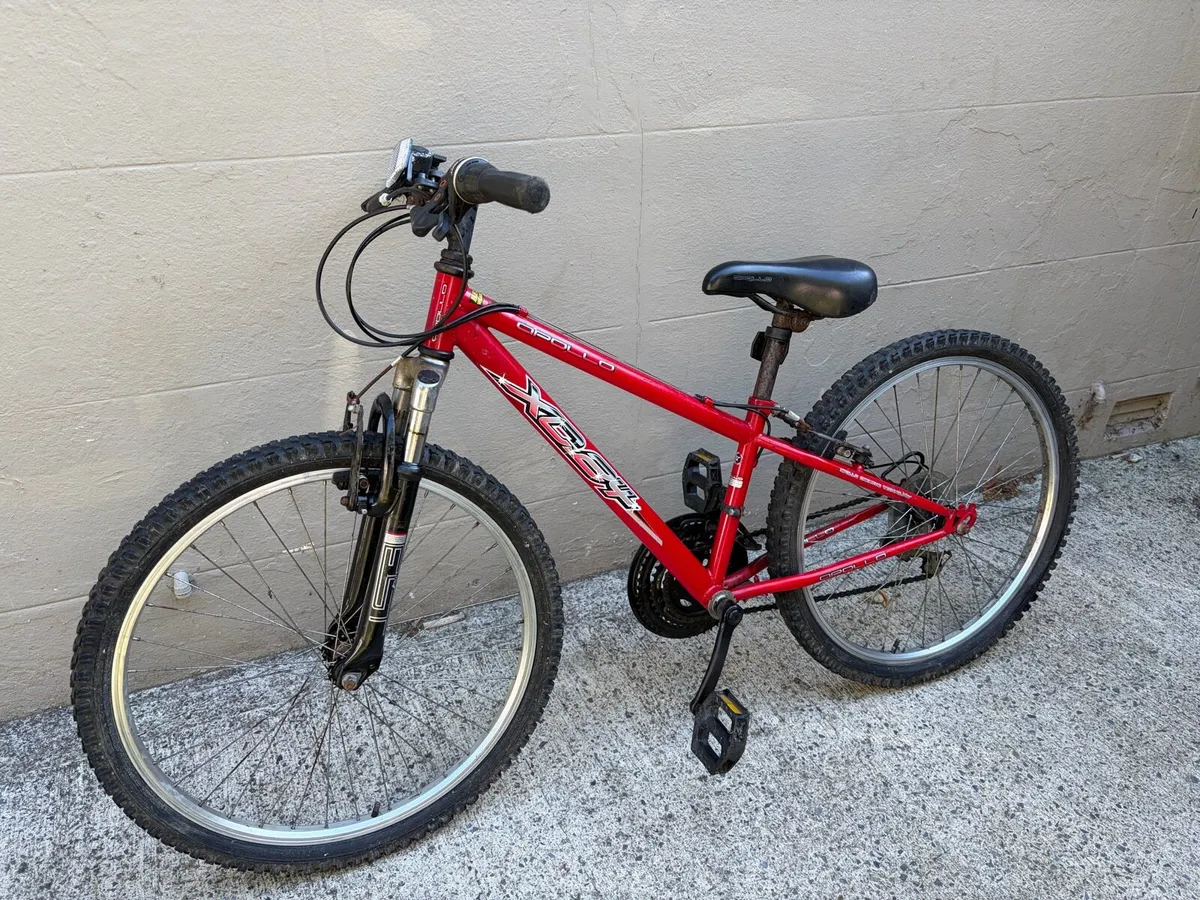 Apollo XC24 Childs Bike - Image 1