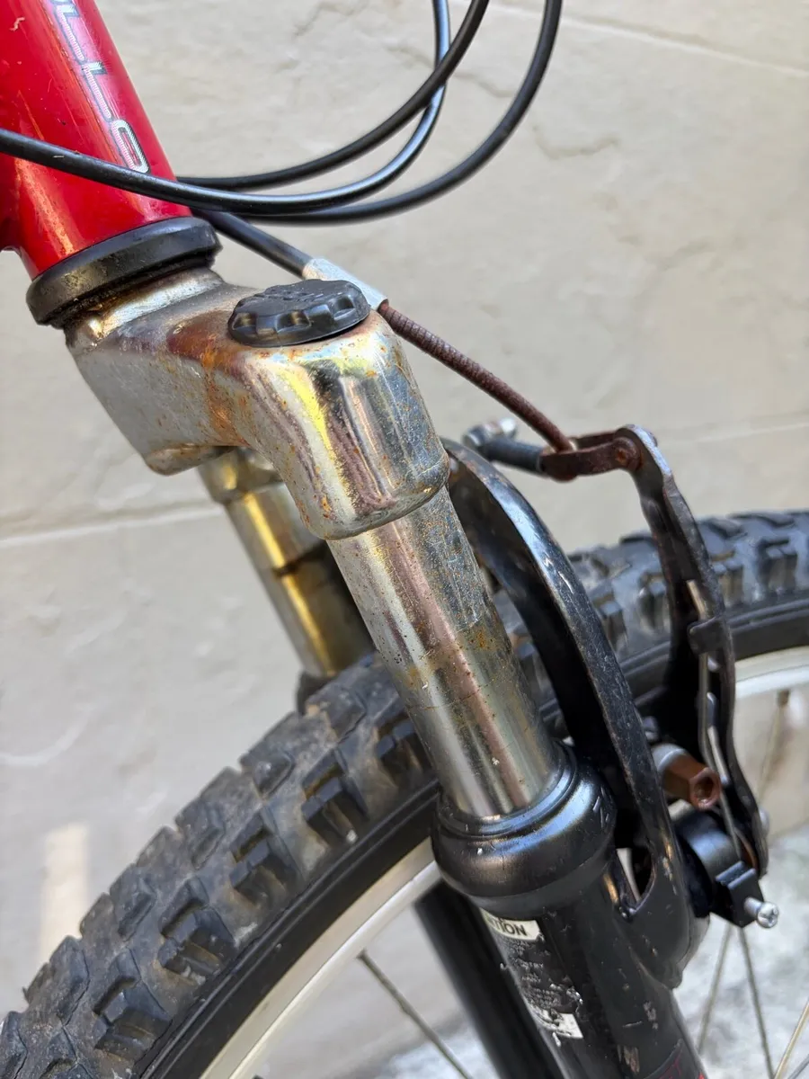 Apollo XC24 Childs Bike - Image 3
