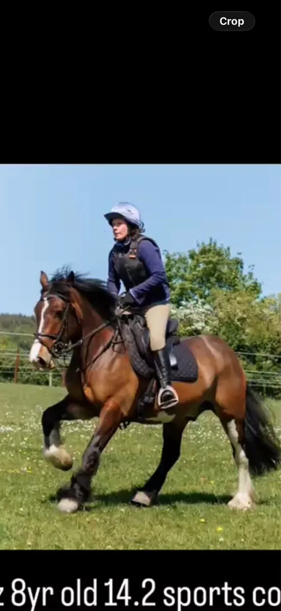 Perfect all rounder/ mother daughter share - Image 1