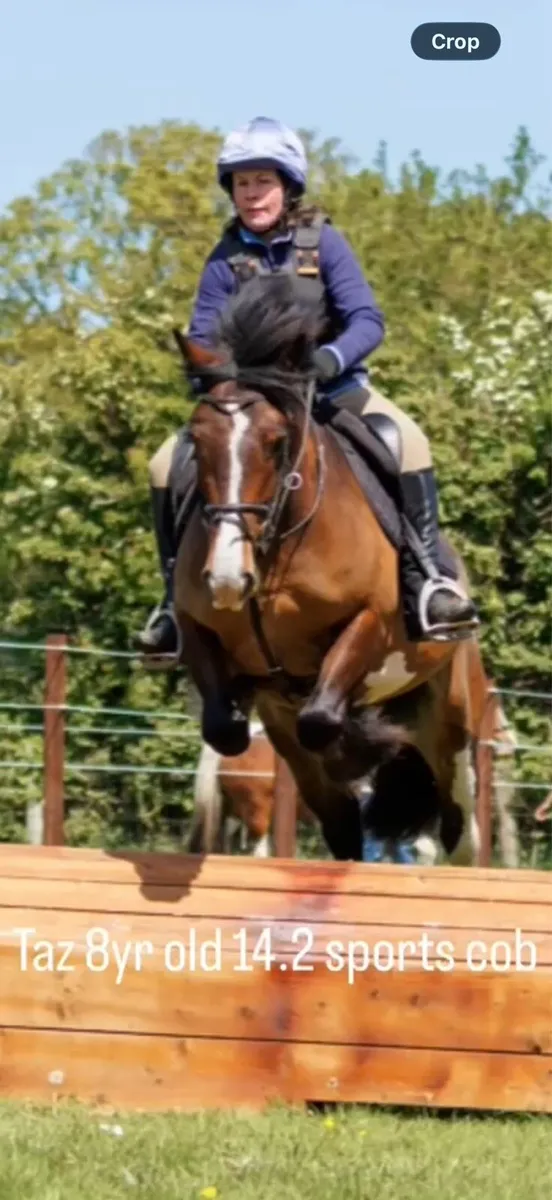 Perfect all rounder/ mother daughter share - Image 2