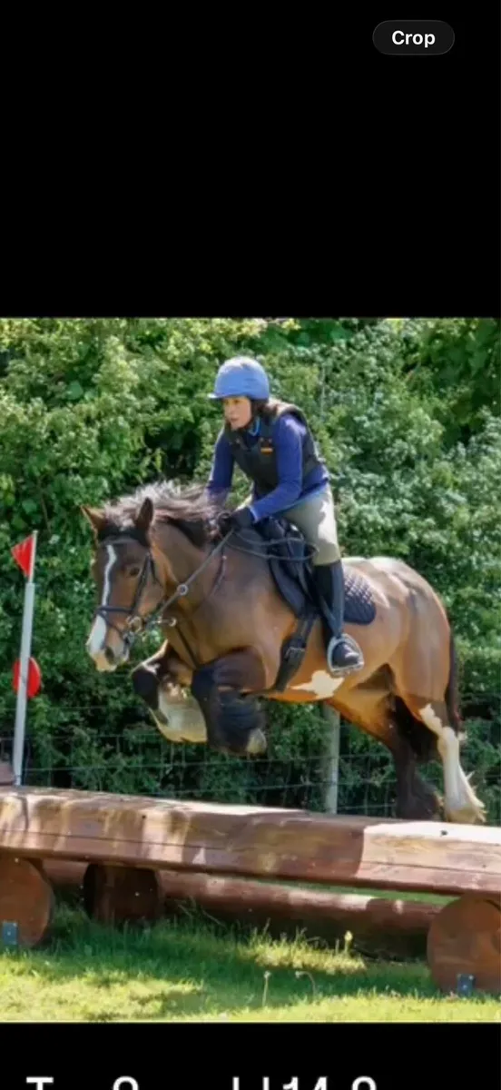Perfect all rounder/ mother daughter share - Image 3