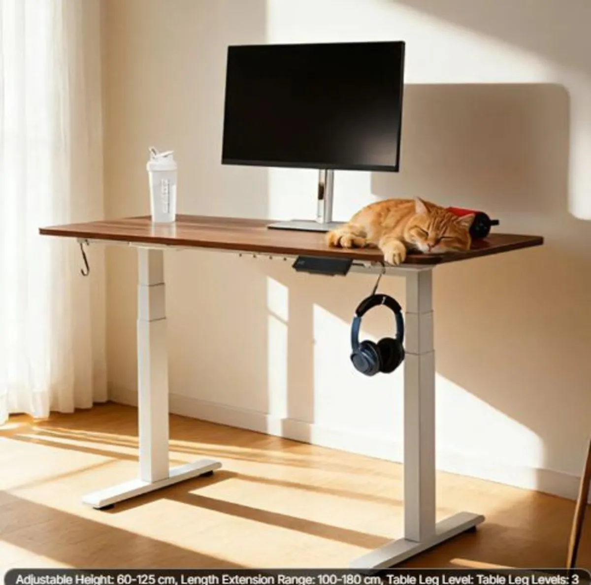 Standing Desk Frame Dual Motor,Electric Adjustable - Image 4