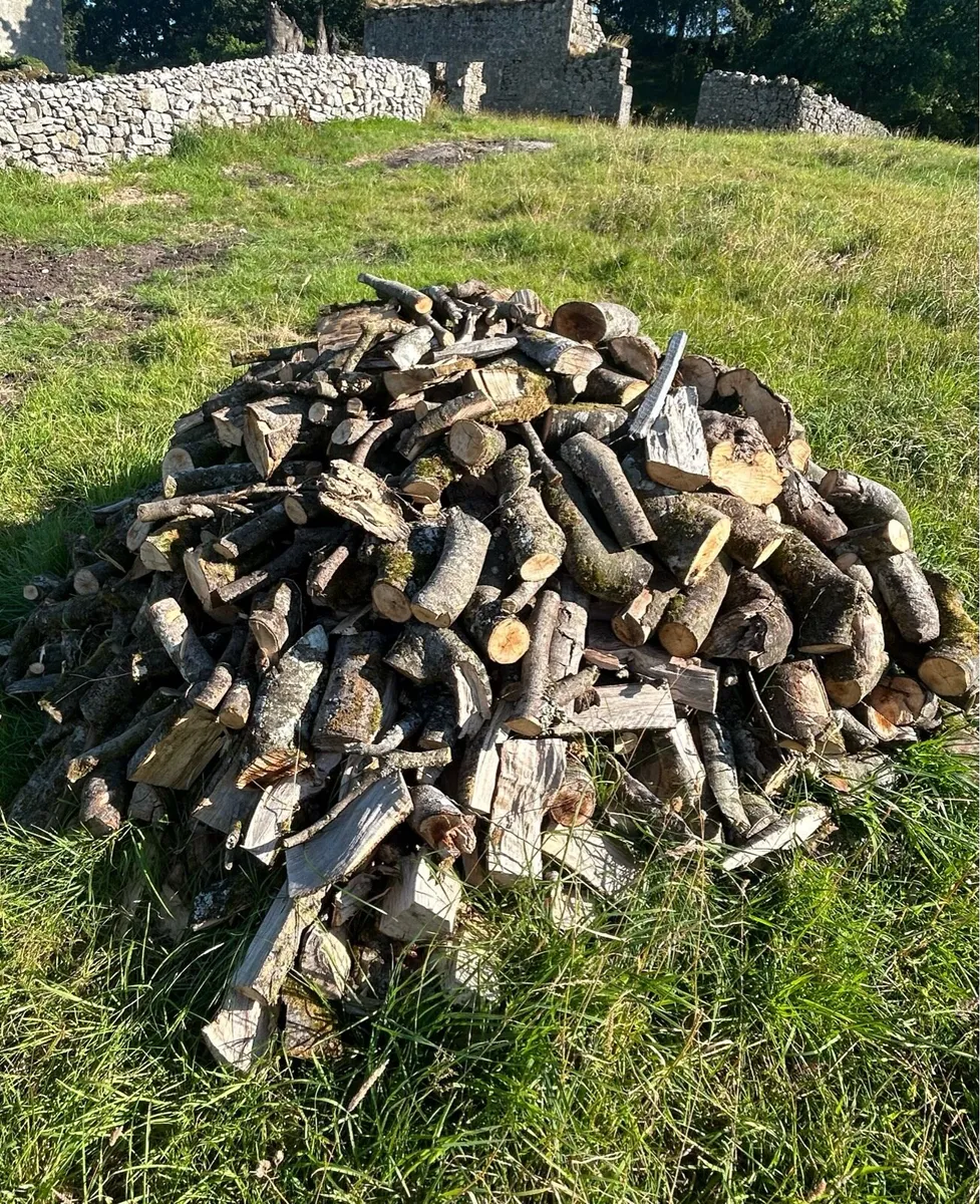 Timber For Sale - Image 4