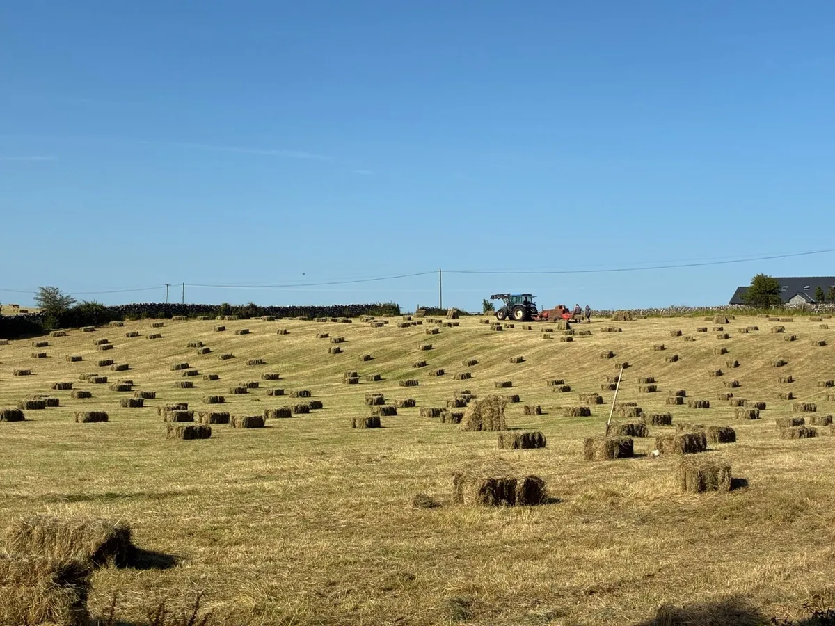 Square Hay bales - Image 1