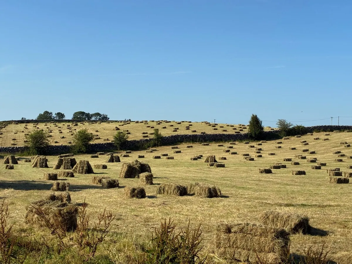 Square Hay bales - Image 2