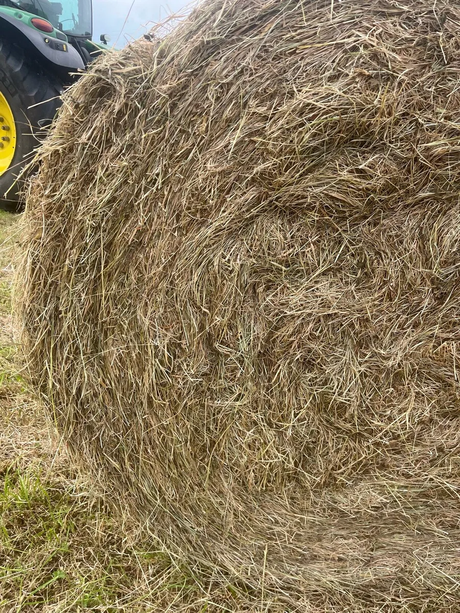 Hay, Haylage and Silage for sale - Image 3