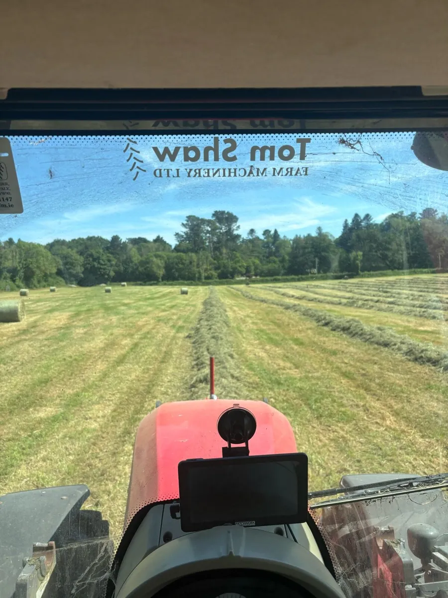 Hay - Image 1