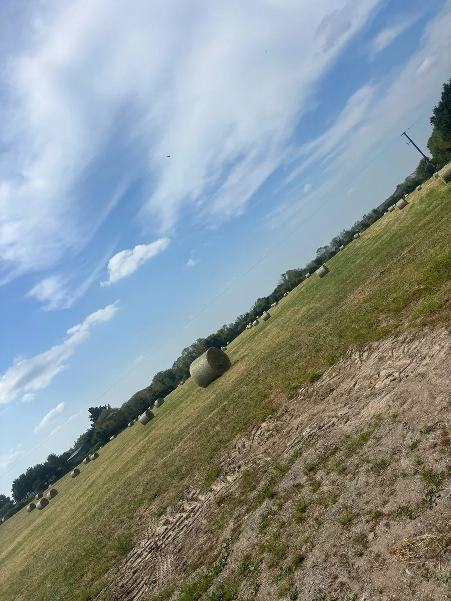 Hay - Image 2