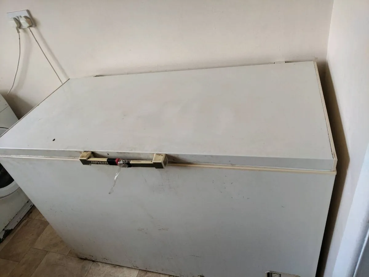 Large deep freezer - Image 1