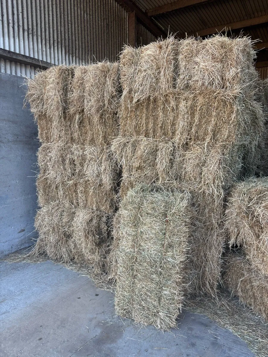 Small square bales of hay - Image 1