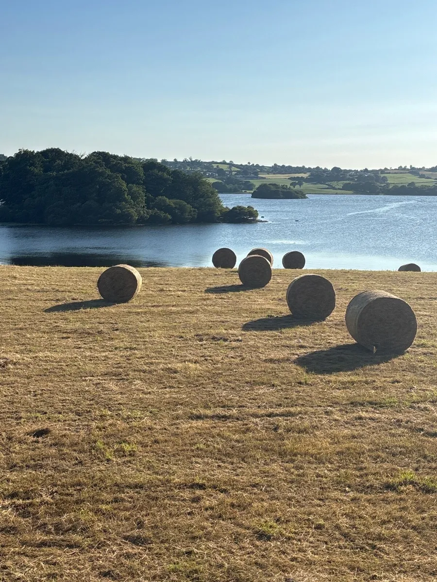 Round bales of hay - Image 1