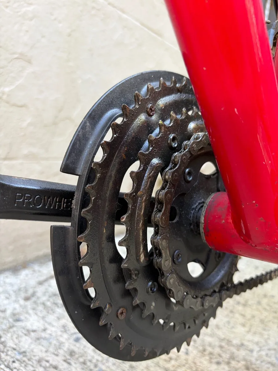 Apollo XC24 Childs Bike - Image 4