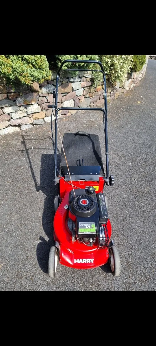 Lawnmower, Harry, 17inch cut. - Image 4