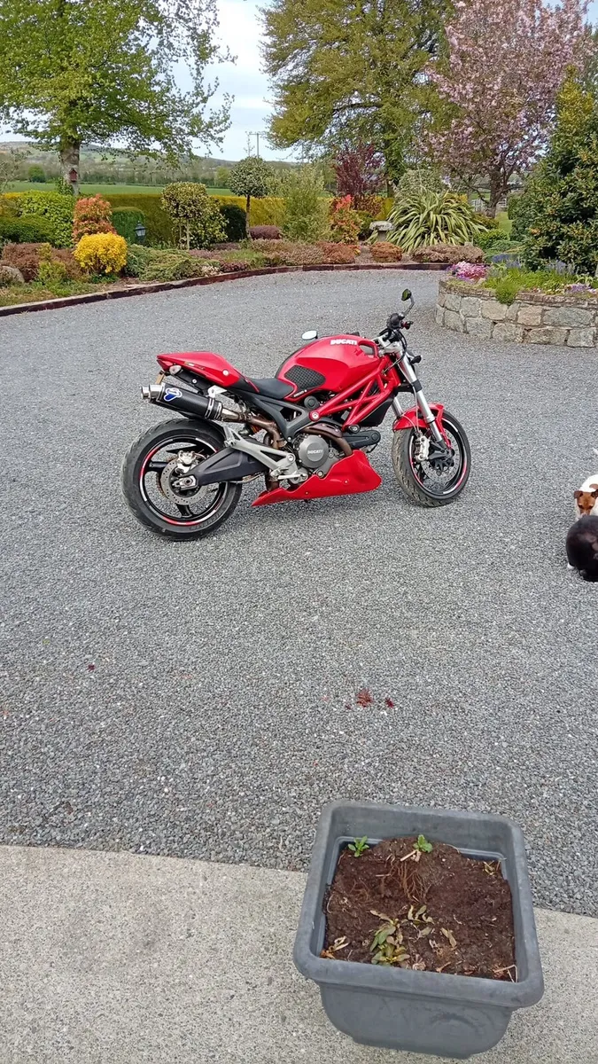 Ducati monster 696 - Image 1