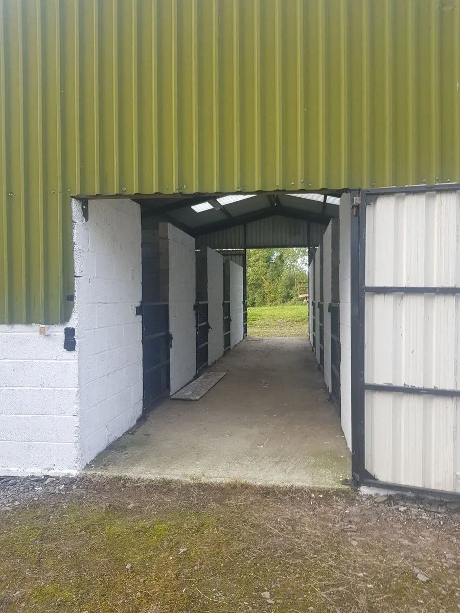 Stables,  yard, gallops for rent or lease - Image 2