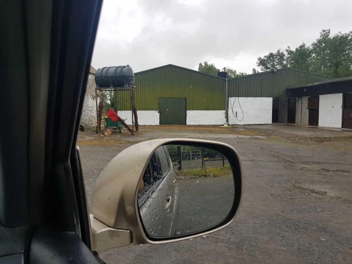 Stables,  yard, gallops for rent or lease - Image 3