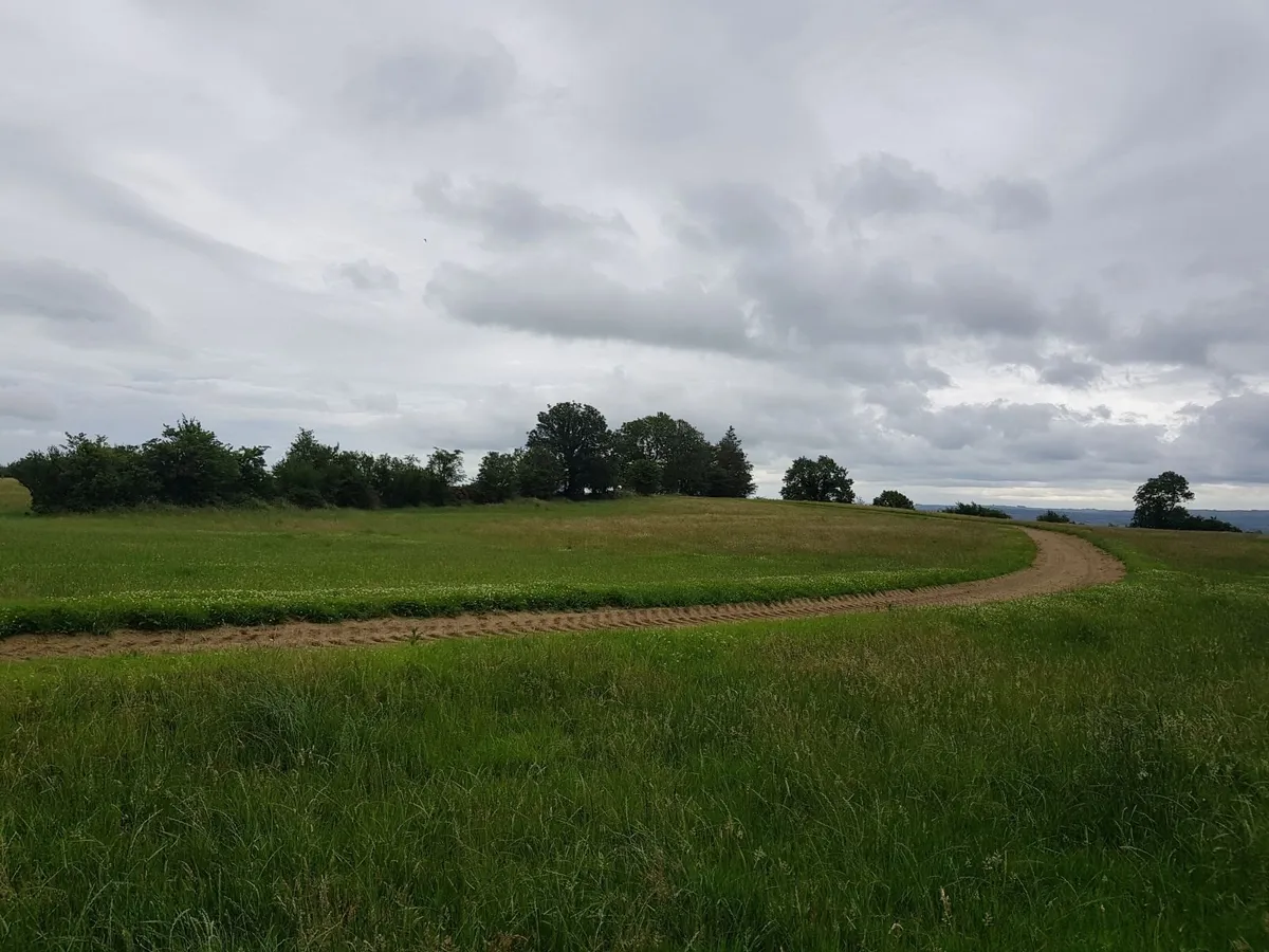 Stables,  yard, gallops for rent or lease - Image 4