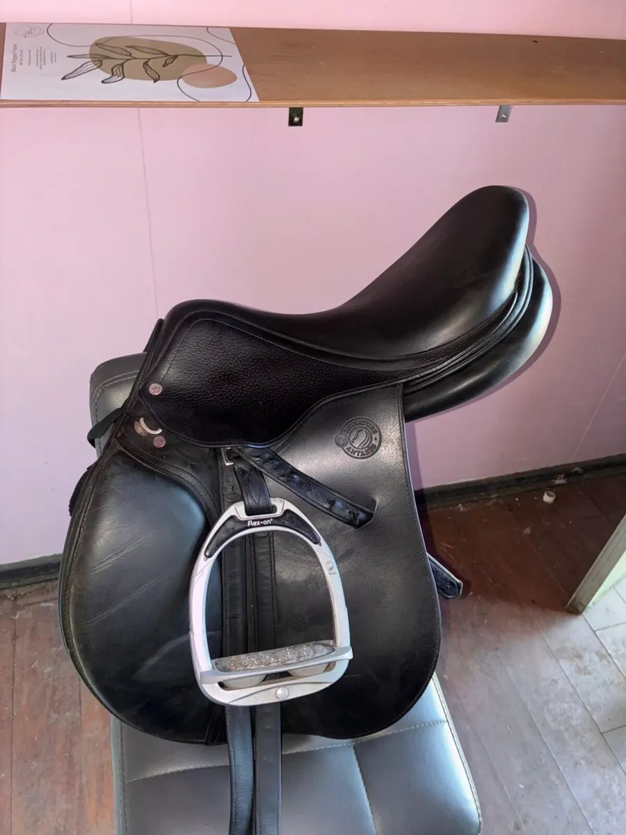 17.5 inch antares saddle - Image 1