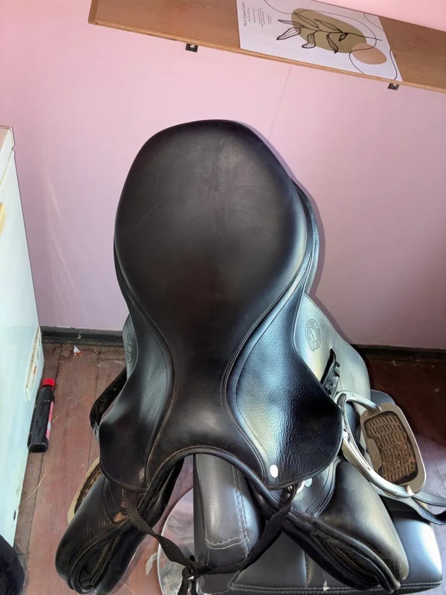 17.5 inch antares saddle - Image 2