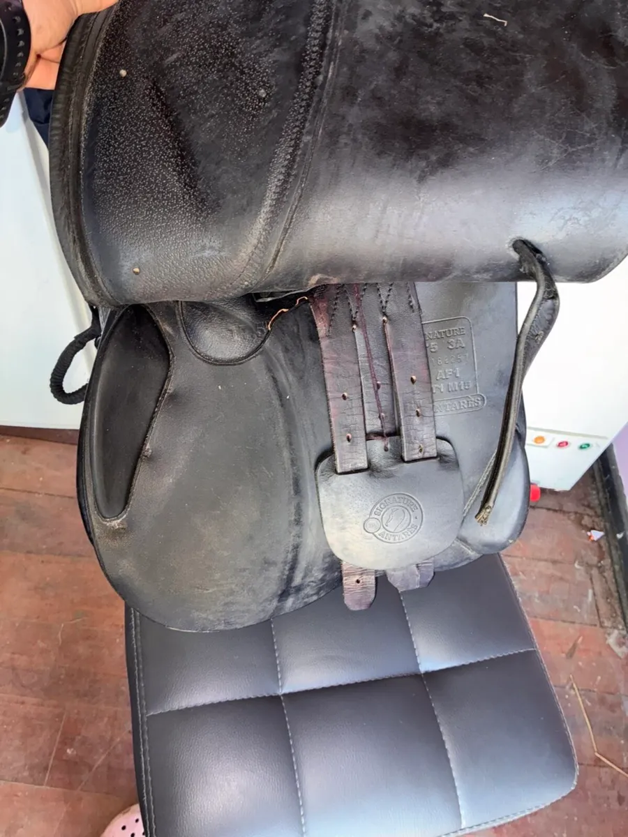 17.5 inch antares saddle - Image 3