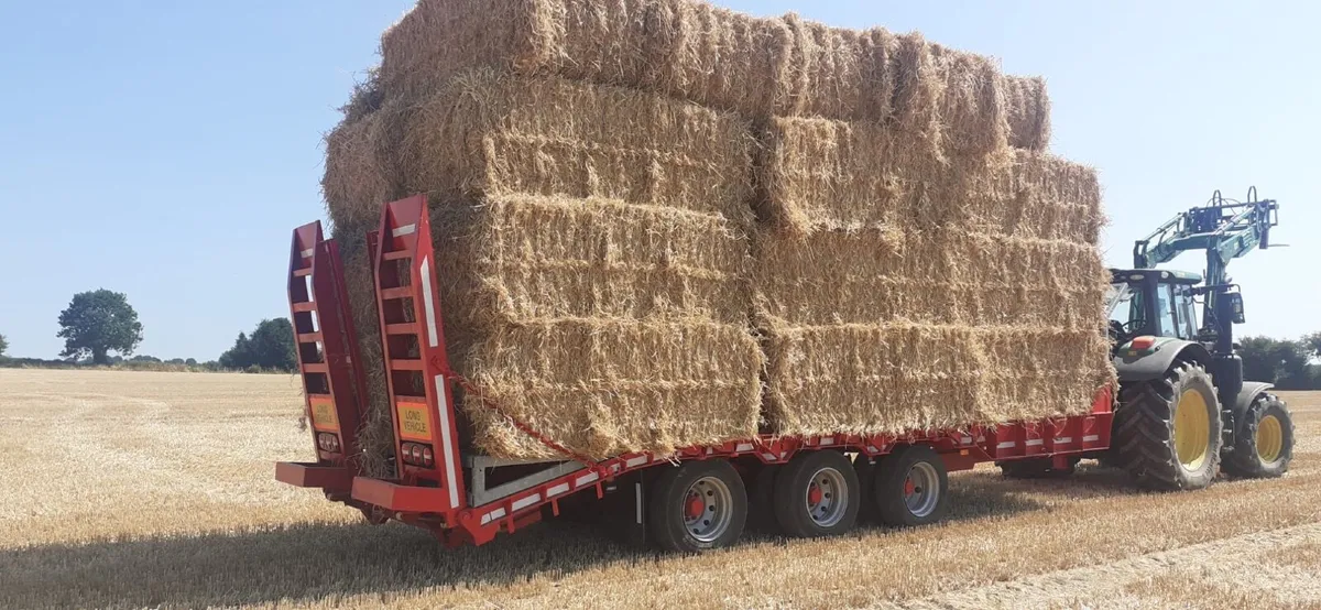 Low loader - Image 4