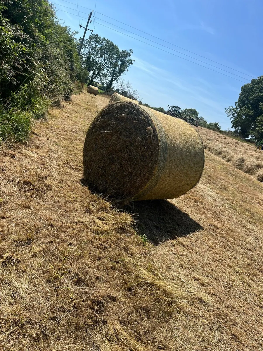 32 round bales of hay