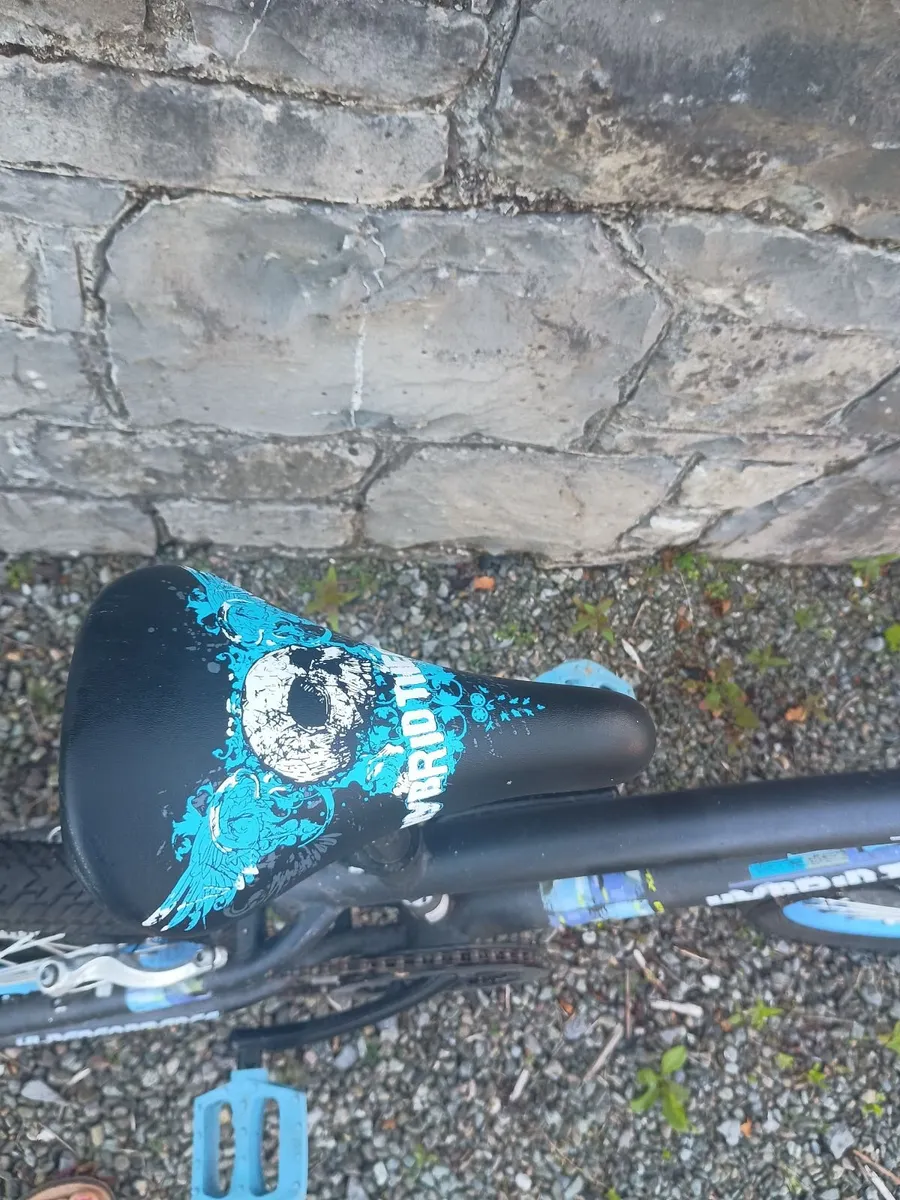 20" Hybrid theory BMX bike - Image 2