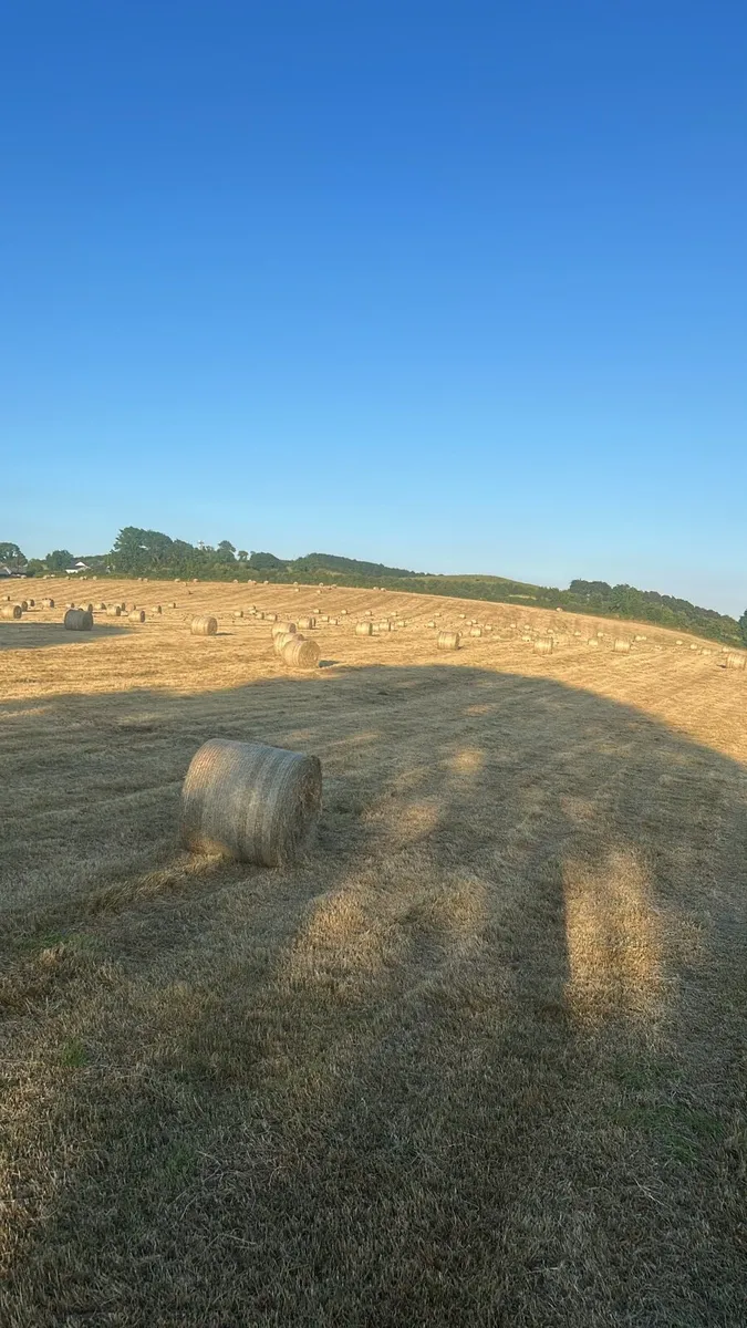 Hay Bales - Image 1