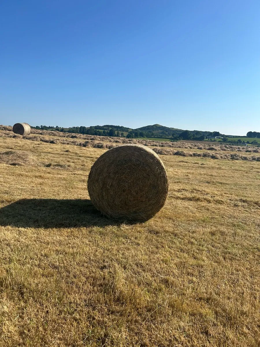 Hay Bales - Image 2