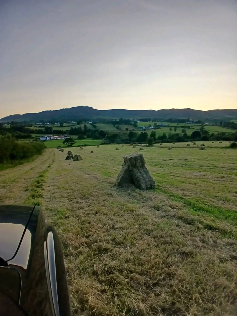 Certified organic hay