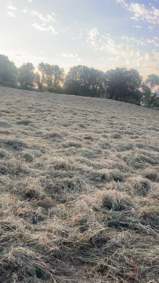 Hay Bales - Image 3